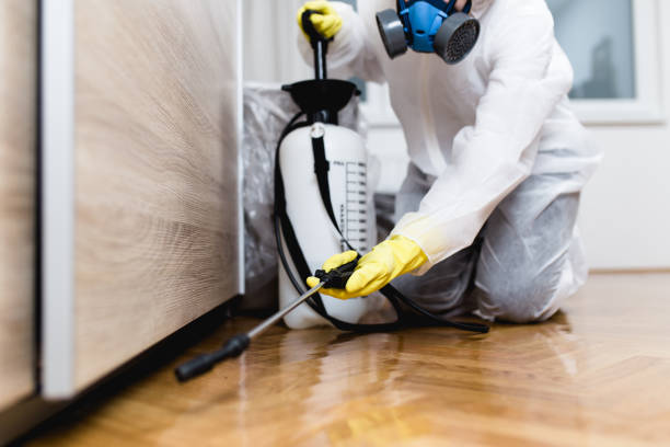 Best Affordable Pest Control Services  in Ross, CA
