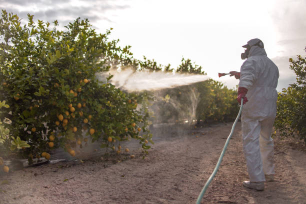 Best Cockroach Control Services  in Ross, CA